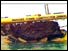 Mary Rose cradled in special lifting gear - 1982