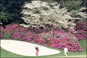 The 13th hole