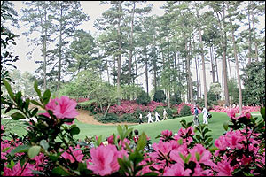 The 10th hole