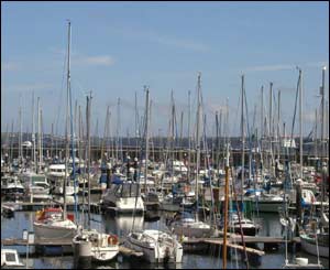 The multitude of boats that live in Milford Haven marina, sent by  Nick Morgan (Caerleon)