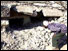 Rubble of hospital ruins (copyright: AP)