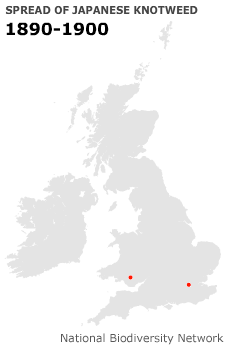 1890-1900