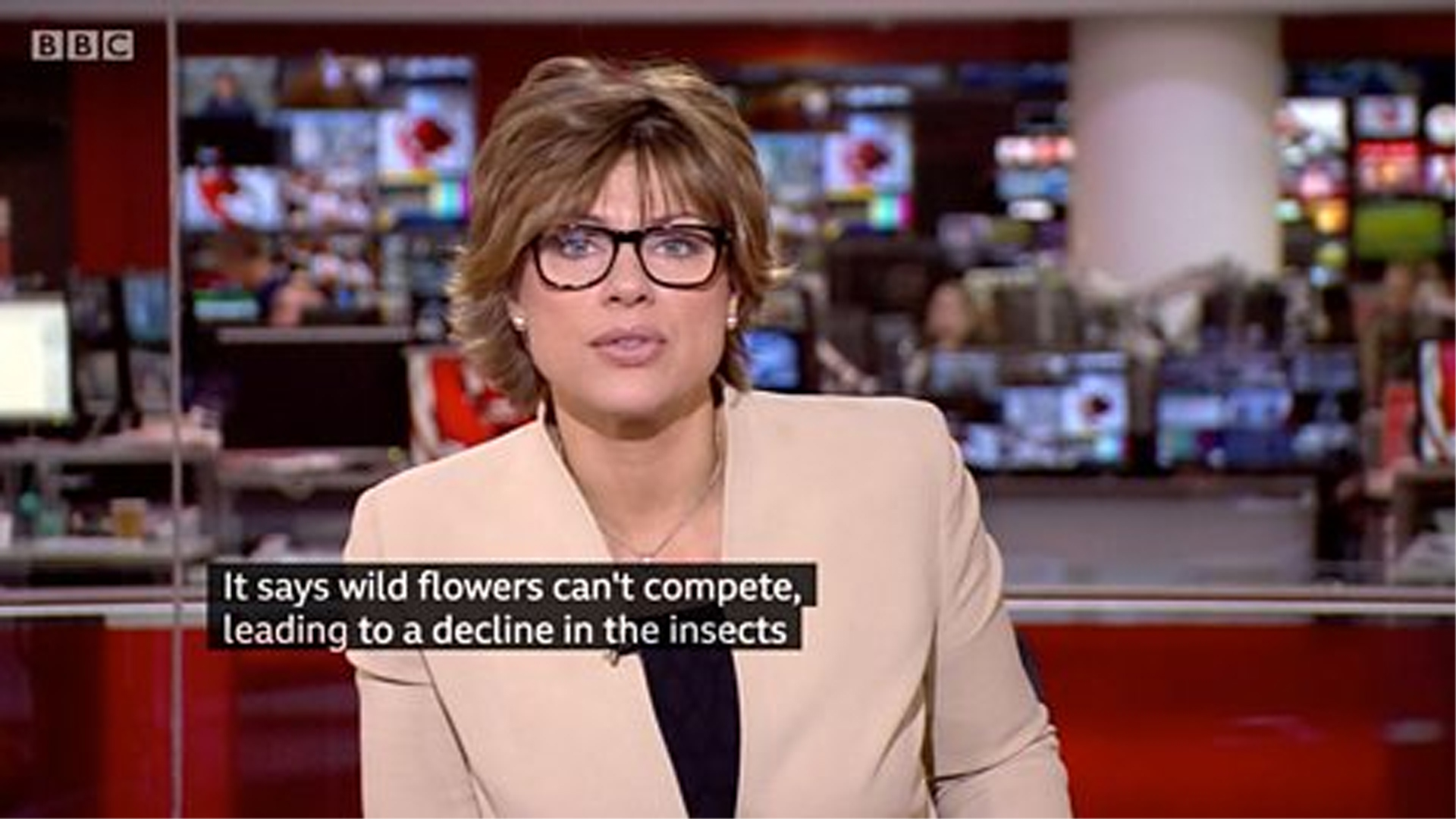 subtitle