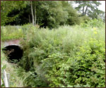 Castle meadows