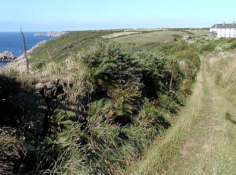 Cliffpath