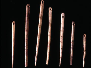 A set of bone needles from the Cave of Courbet in the Aveyron Valley