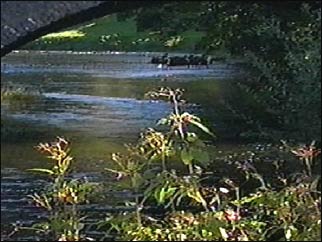 River Leven