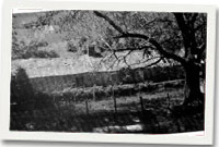 Nant yr Henfaes