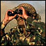 کشمیر میں فوج