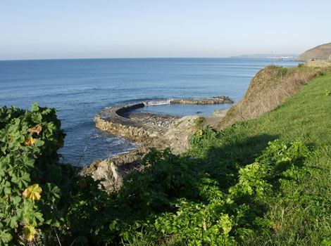 Portwrinkle