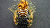Rubber Roe Rubber Roe