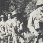 'C' Company advancing through the jungle, taken by CQMS Fred Weedman, 1944. 'C' Company advancing through the jungle, taken by CQMS Fred Weedman, 1944.