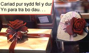cariad pur