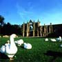 Newstead Abbey