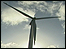 Cut Your Carbon in BBC East project