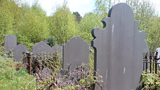 Overgrown graveyard
