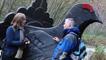 The wooden black grouse