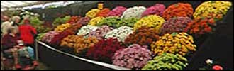 Spring Garden Show
