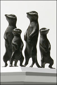 猫鼬