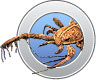 Sea Scorpion