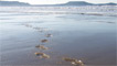 Icy footprints