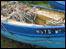 Fishing boat