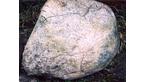 The Burbage Map