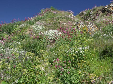 Coverack