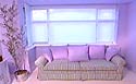 Purple walls