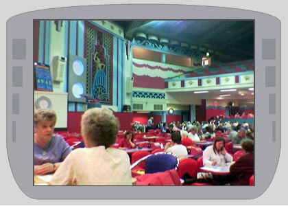 Nemone in Sunderland