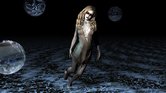 Water woman Water woman