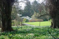 Gerddi Plas Newydd
