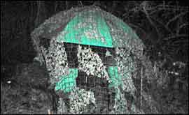 One of the hides the watchers used.