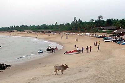 The beach at Sinquerim.