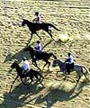 Horse race