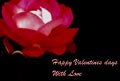 Valentine's Day graphic