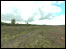 The fields at Cannock Chase