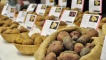 Potatoes