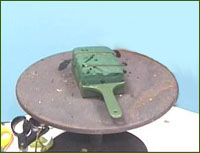 cut oasis and secure to spade