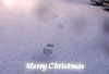 Happy christmas graphic