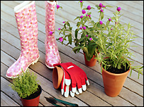 Plant pots