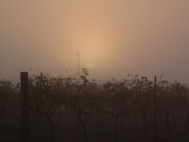 Australian sunrise