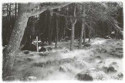 Forgotten Grave - Portglenone Forest
