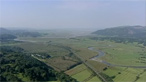 Ynys Hir