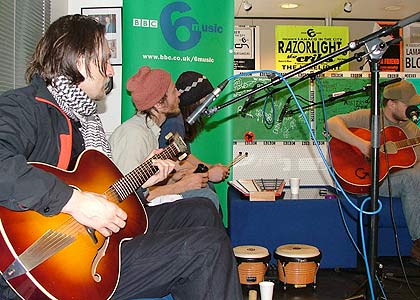 The Bees in Session