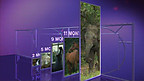 Gestation of Mammals (Birth of a Foal)