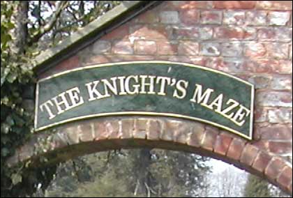 Maze picture