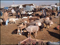 قرباني