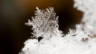 Bleideag sneachda