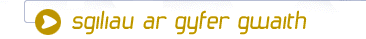 Sgiliau ar gyfer gwaith